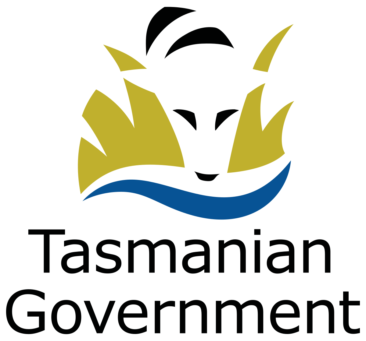 Building Tasmania e-training